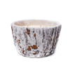 Cranberry Apple Crisp White Woods Birch Tapered Pot Swan Creek Candle