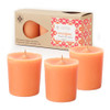 Energize (Rosemary Eucalyptus) Seeking Balance 3-Pack Votive Root Candle