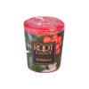 Hollyberry 20-Hour Votive by Root