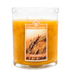 Indian Summer 22 oz. Oval Jar Colonial Candle