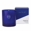 No. 41 Modern Mint 8 oz. Boxed Tumbler Candle by Capri Blue