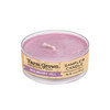 WoodWick Mulberry Hill 1.4 oz. Sampler Candle Farm Grown Candle