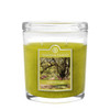 Savannah Moss 8 oz. Oval Jar Colonial Candle