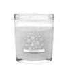 Sparkling Birch 8 oz. Oval Jar Colonial Candle