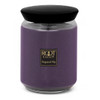 Sugared Fig 22 oz. Queen Bee Root Candle