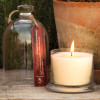 Sweet Basil Bell Jar Candle by Park Hill Collection