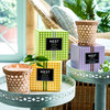 Cedar Leaf & Lavender 8.1 Oz. Rattan Classic Candle
