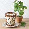 Thai Basil Willow Candle by Park Hill Collection