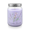 Lavender Vanilla 22.2 oz. XL Jar Candle by Tried & True