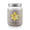 Vanilla Bean 22.2 oz. XL Jar Candle by Tried & True