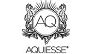 Aquiesse