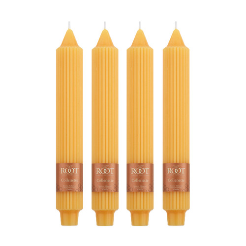 Butterscotch 9-Inch Grecian Collenette 4-Pack by Root