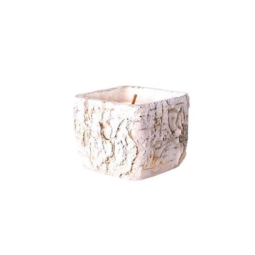 Whipped Almond Frosting White Woods Birch Small Square Pot by Swan Creek Candle