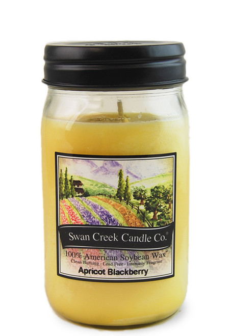 Apricot Blackberry 24 oz. Swan Creek Kitchen Pantry Jar Candle