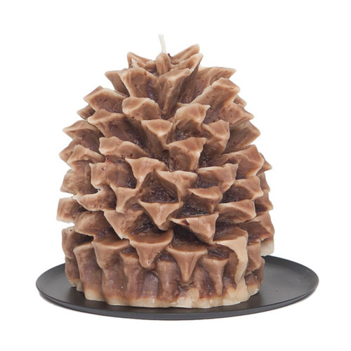 Cinnamon Beignet Pineapple Pinecone Candle by Aspen Bay Candles