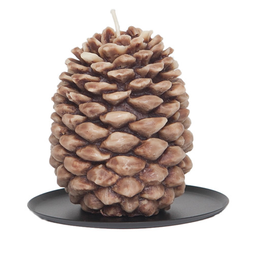 Cinnamon Beignet Tin Roof Pinecone Candle by Aspen Bay Candles