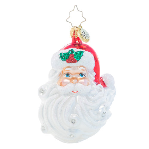 Jolly With A Dash Of Holly Gem Ornament