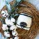 16 Oz. Cotton Blossom Butter Jar by Milkhouse Candle Creamery