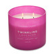 14.5 Oz. Twinkling Lavender Candle - Pop of Color Collection by Colonial Candle