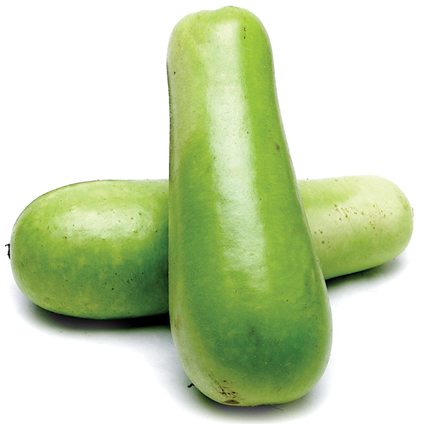 Opo Squash (per lb) Mantra Bazaar