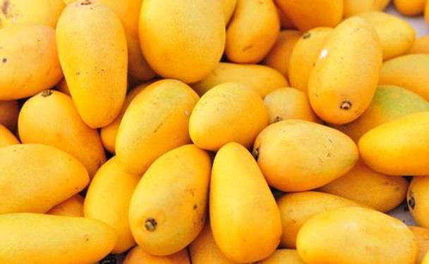 Ataulfo Mango (ea)