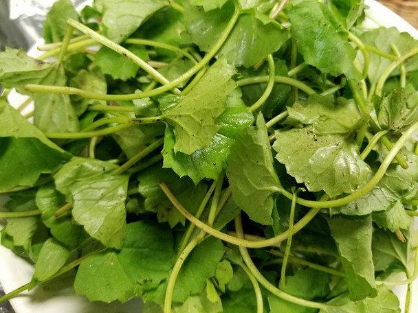 Brahmi / Vallarai Keerai (per bag)