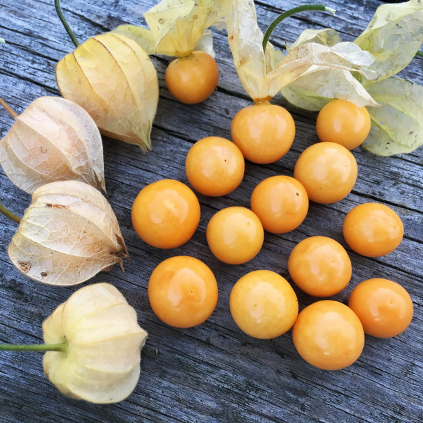 Gooseberry 100g