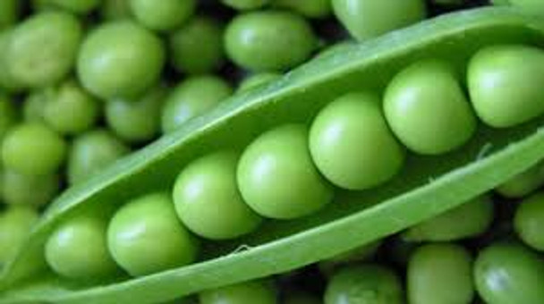 Fresh Peas (per lb)