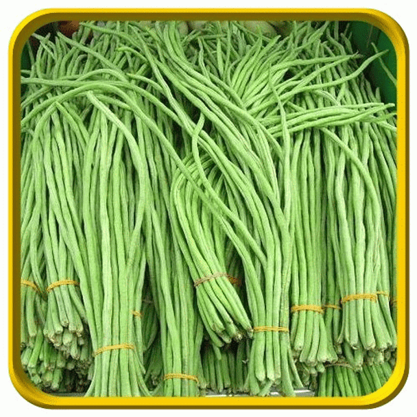 Long Green Bean (per lb)