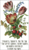 Floral Emblems 003-Strawberry, Mignonette, Blue Bell, Tulip