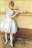 Dancer at the Barre