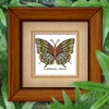 Butterfly Pattern 810