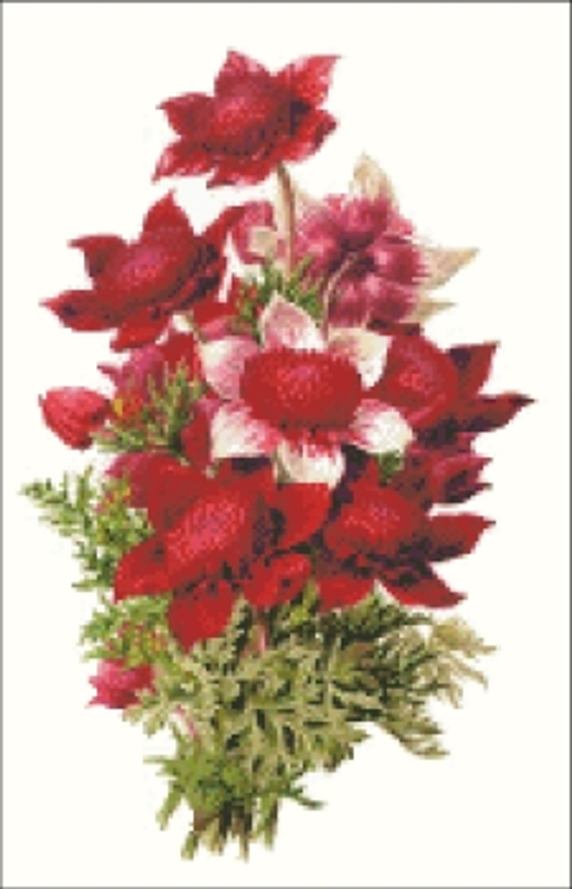 Anemone Flower Cross Stitch Pattern