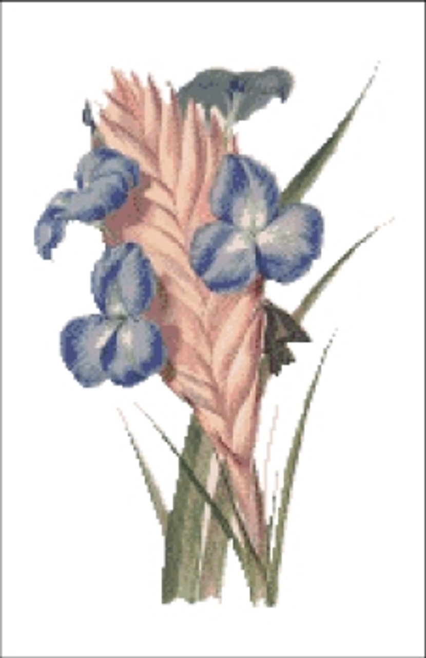Bromeliad Flower Cross Stitch Pattern