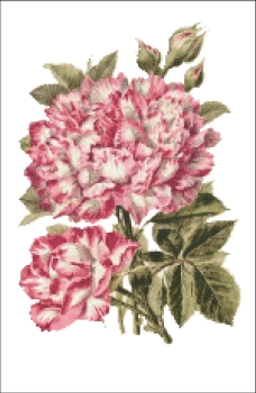 French Rose Cross Stitch Pattern