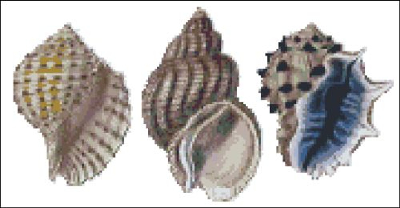 Sea Shell Pattern 811