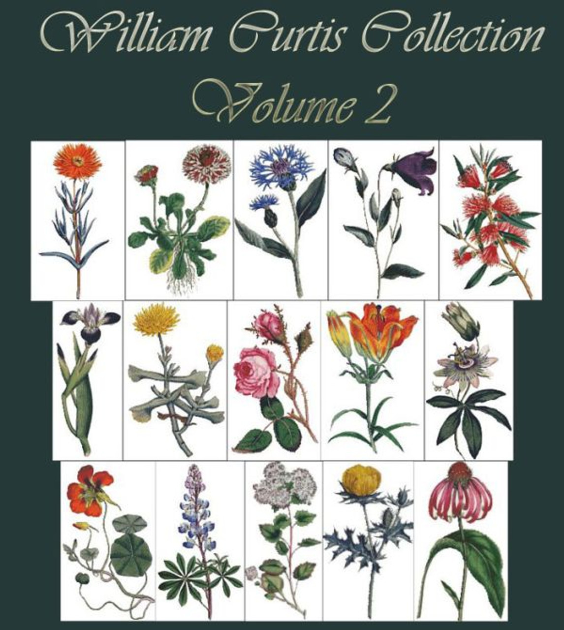 William Curtis Botanical Print Collection Volume 2
