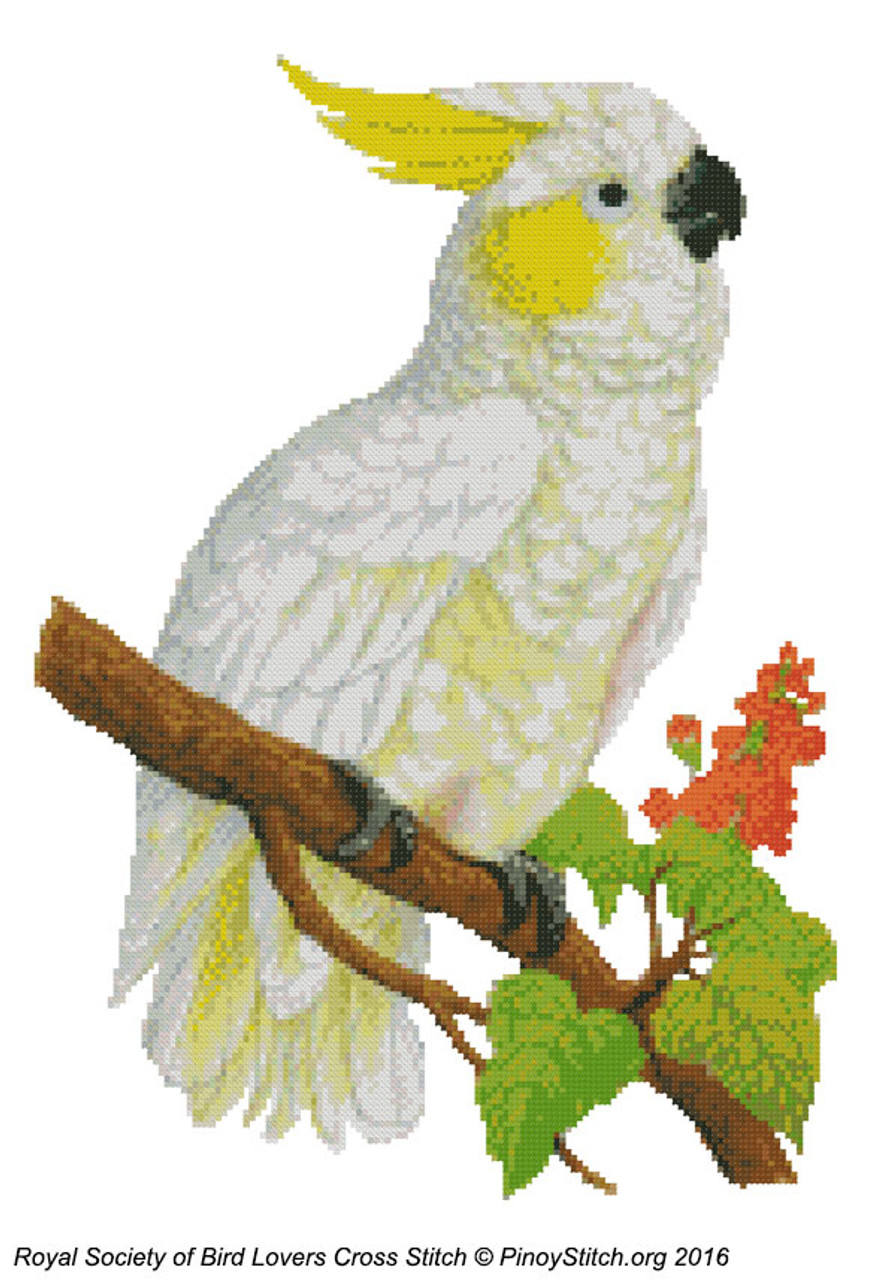 RSBL Cockatoo Lemon Crested
