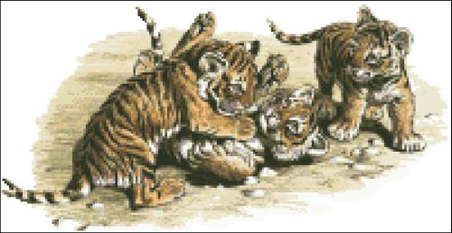 Tiger Cubs