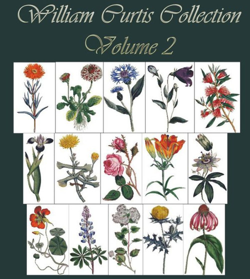 William Curtis Botanical Print Collection Volume 2