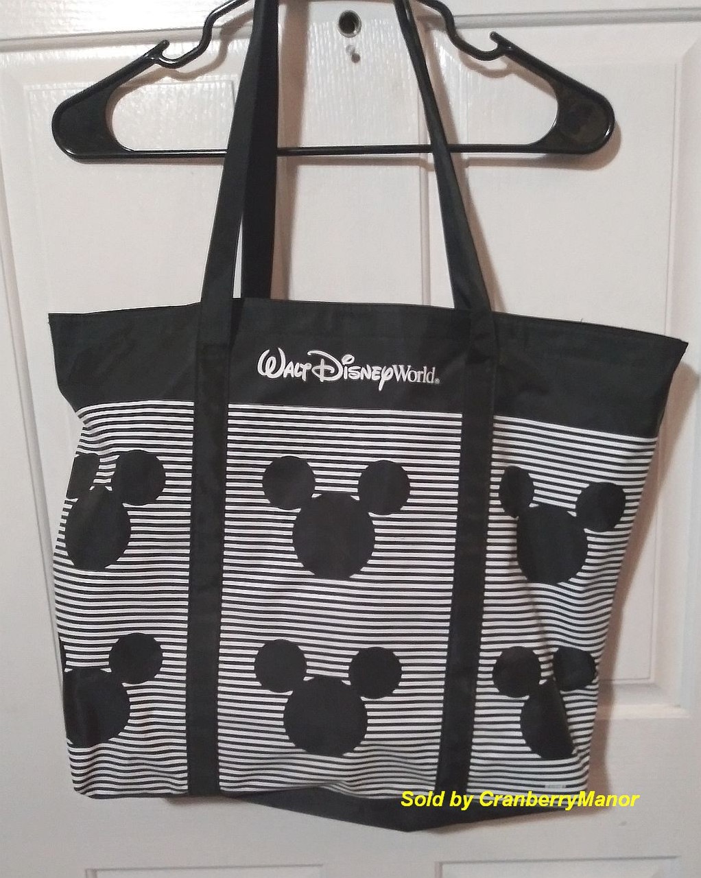 disney beach tote