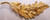 Coro Brooch Gold Leaf Pin Autumn Harvest Jewelry Vintage Designer Mid Century Gift