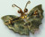 Jade Brooch Carved Butterfly Pin Vintage Fashion Jewelry Gift