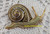 Spain Damascene Snail Brooch Vintage Designer Fashion Jewelry