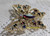 Dodds Brooch Butterfly Pin Red Blue Green Jewelry Vintage Fashion Designer Gift