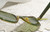 Cat Eye Glasses Marbled Green Gold Glitter Groovy Mod Vintage Eyewear Eyeglasses