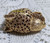 Ciner Brooch Cheetah Leopard Jaguar Cat Pin Vintage Haute Couture Fierce Designer Jewelry