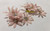 Coro Earrings Pink Rhinestone Flower Power Vintage Designer Jewelry