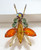 Juliana D&E Brooch Topaz Slim Body 2 Wing Fly Bug Bee Vintage DeLizza Elster Designer Jewelry