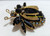 Juliana D&E Brooch Jet Black Beetle Bug 3 Wing Vintage DeLizza Elster Designer Jewelry